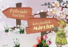 Napos, enyhe, tavaszias idő várható március első hetében