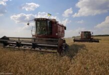 Megszűnt az ukrán agrártermékek importtilalma – a gazdák törvényi védelmet követelnek