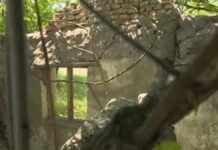 Szörnyű kínok közt halhatott meg a halálra éheztetett fiú