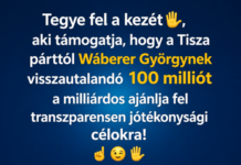 Angyal Károly Tibor üzent: Wáberer György költse jótékonyságra a 100 milliót