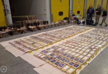 Rekordmennyiségű kokaint foglaltak le Csepelen egy banánszállítmányban