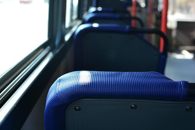 busz,