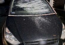 Vasvillával és ásóval rongált autókat, majd megharapta az intézkedő rendőrt